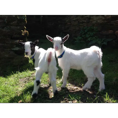 Casa De Baixo Szálloda 2*