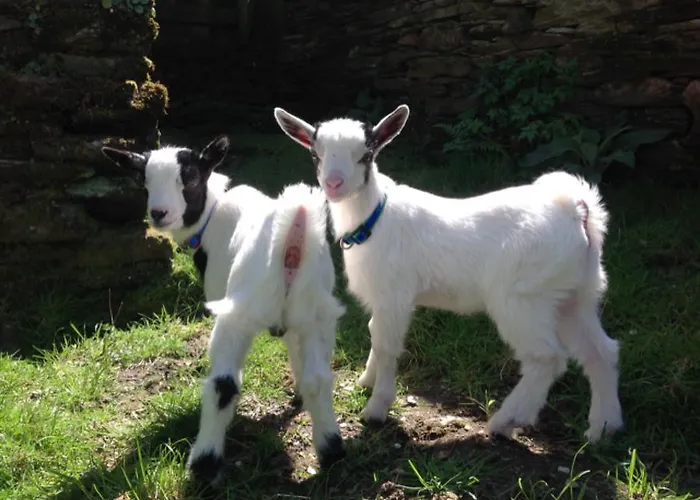 Casa De Baixo מלון 2*